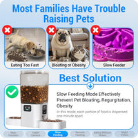 Frienhund Automatic Cat Feeder with 2K Camera: 5G WiFi Automatic Dog - White-4 - image 4
