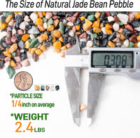 CJGQ 2.4lb Aquarium Gravel for Plants - Mixed Pebble / 2.4 lb (1/4 in) - image 2