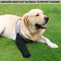 COODEO Dog Socks to Prevent Licking Paws - M_Left / Grey - image 3