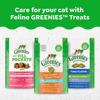 Greenies Feline Adult Dental Cat Treats, Savory Salmon Flavor, 21 oz. Tub