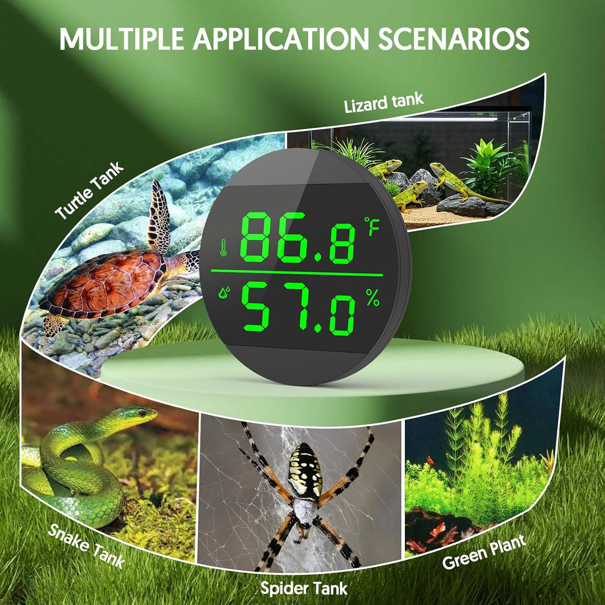 Reptile Thermometer and Humidity Gauge, Digital Display - Black - image 4