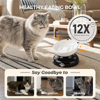 Y YHY Ceramic Cat Slow Feeder - White / 6 inches - image 2