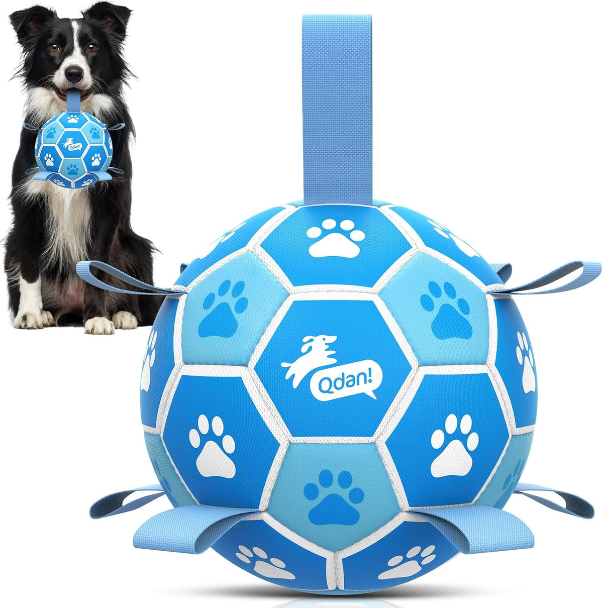 QDAN Dog Balls, Outdoor Dog Toys - Medium Size 2 / White-Blue