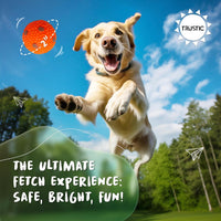 Balls 2 inch for Small and Medium Size Dogs - image 3