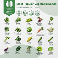 Organo Republic 40 Vegetable Seeds Variety Pack - 26000 Non GMO Heirloom Seeds for Planting Vegetables & Fruits in Bulk Individual Seed Packets, Home Garden Seeds for Hydroponic, Indoor & Outdoors