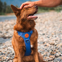 Wilderdog Lightweight Dog Harness with Reflective Straps - Lunar / Large - image 2
