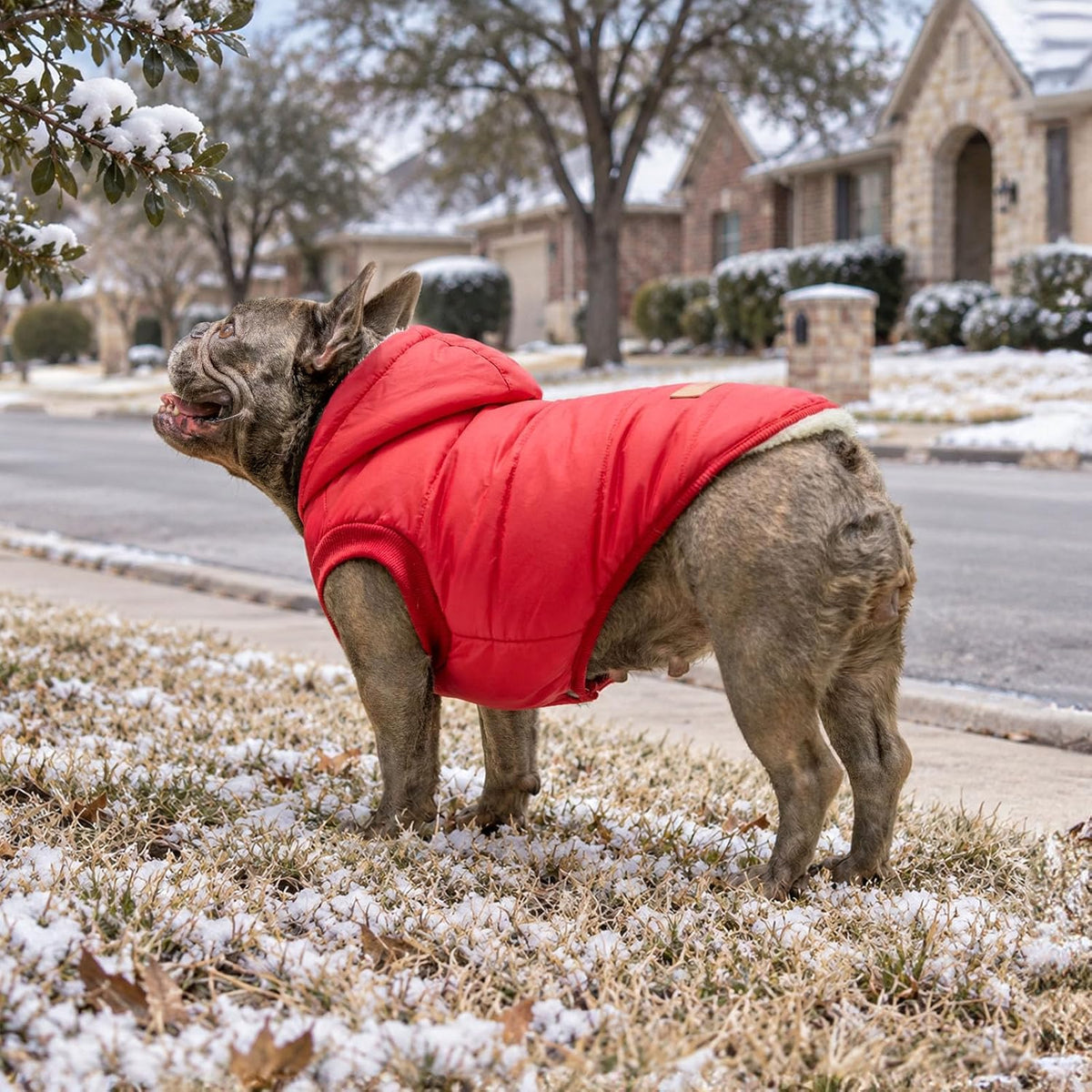 Vecomfy Warm Dog Coats with Hoodie - XXX-Large / Red - image 3