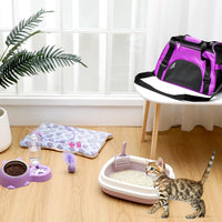 Eccliy 10 Pcs Kitten Starter Kit for Indoor - Cute / Medium / Purple - image 3