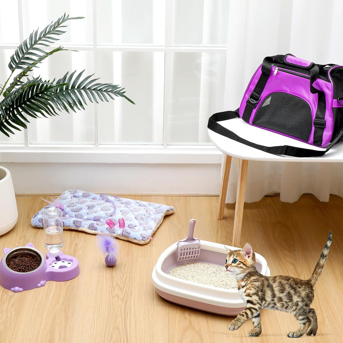 Eccliy 10 Pcs Kitten Starter Kit for Indoor - Cute / Medium / Purple - image 3