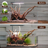 majoywoo Natural Driftwood for Aquarium Decor Fish Tank Decor Reptile - Spiderwood 13 to 17 Inch(Pack of 1) - image 3