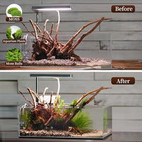 majoywoo Natural Large Driftwood for Aquarium Decor Reptile Decor, Assorted Spider Wood Branch 13-17" Long, Fish Tank Decoration