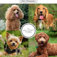 Chris Christensen Diamond Series Miracle Moisture Dog Conditioner, Groom Like a Professional, Pro-Vitamin Formula, Provides Maximum Moisture, Use on Both Dogs and Cats, Made in USA. 128 oz