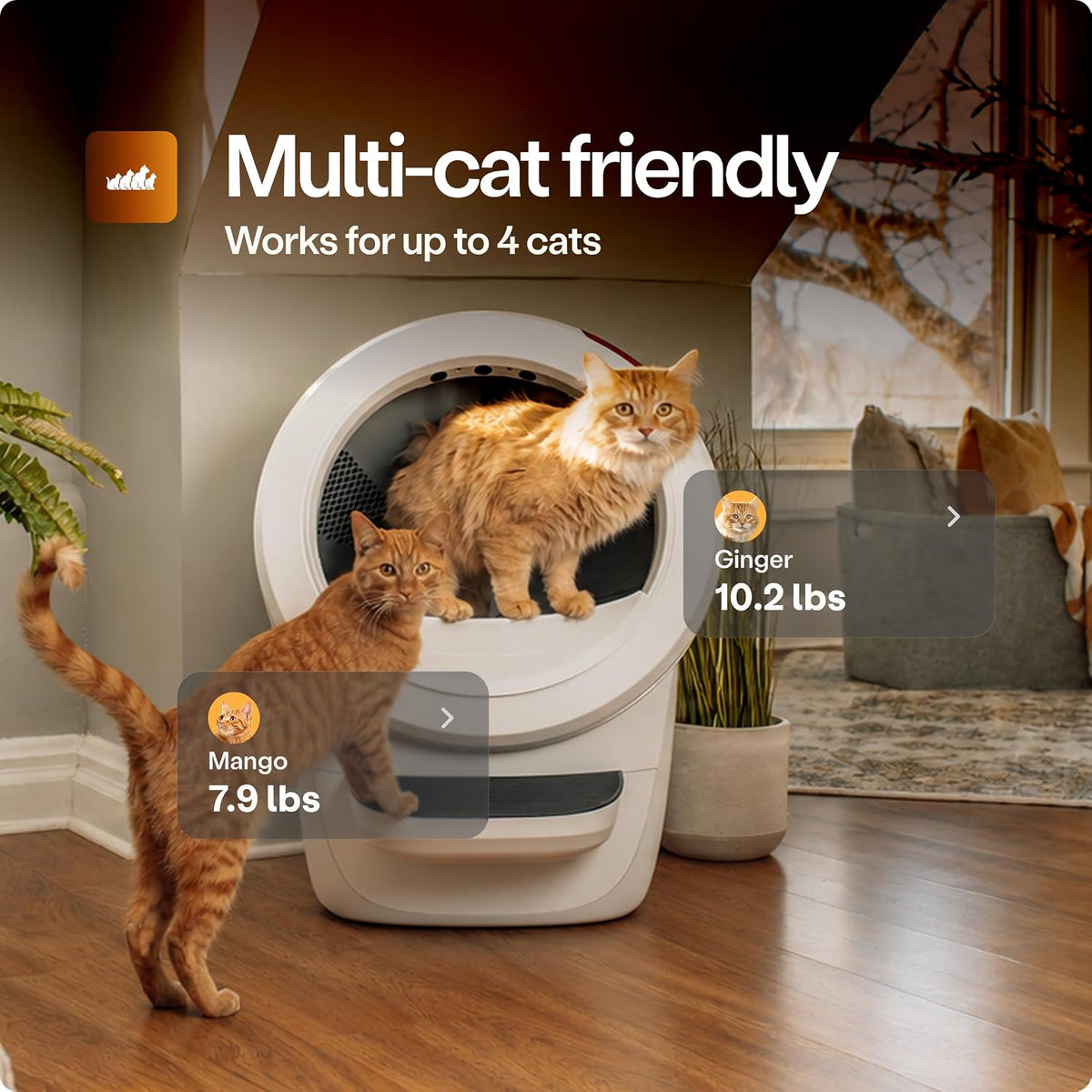 Whisker Litter-Robot 4 Supply & Accessory Bundle, Automatic - White / Robot Only - image 4