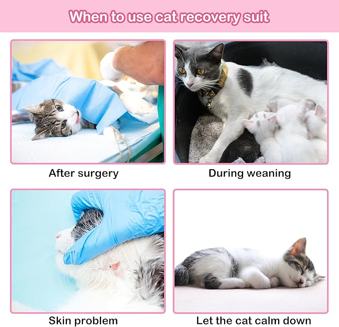 PUMYPOREITY Cat Recovery Suit, Cat Surgery Recovery Suit Female, Cat Spay Recovery Suit, Alternative to Cone of Shame, Cat Surgical Recovery Suit for Skin Diseases and Abdominal Wound, Purple, S