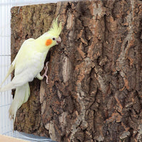 2 Pack 12 x 8 Inch 100% Natural Cork Perch - 22×14 Inches - image 4