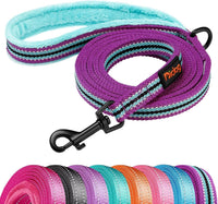 6FT Reflective Dog Leash for Small Medium Dogs, 5/8" Width - Mixed-Blue / 5/8''x 6 FT