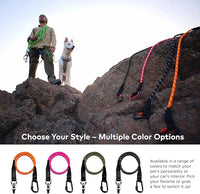 Dog Seat Belt for Car | Universal Dog Car Seatbelt | Durable Reflective Rope with Clip Hook Latch, Buckle and Carabiner- Safe and Secure Pet Safety Restraint (Orange)