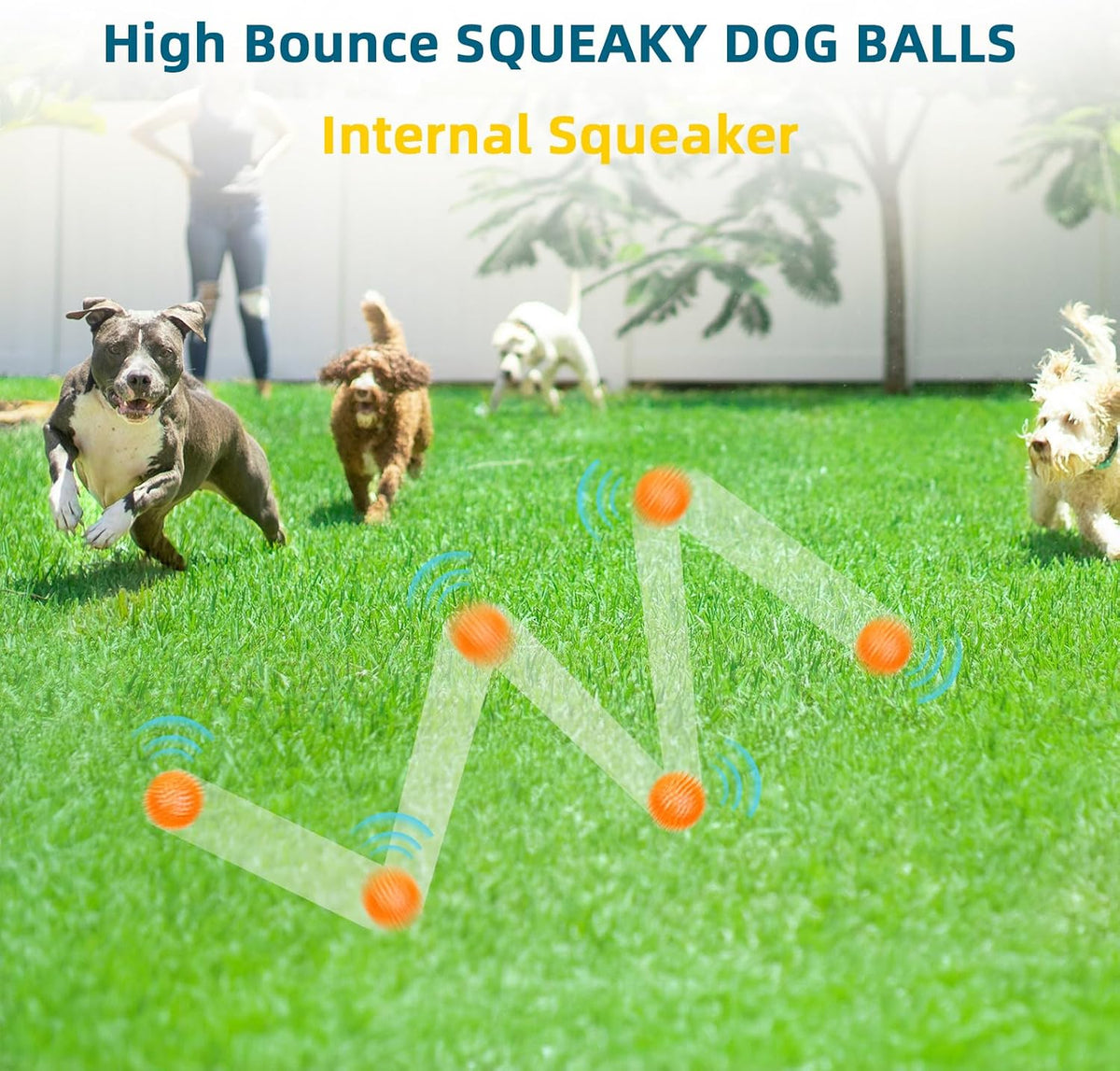 Squeaky Balls for Pet Small Puppy - Medium Set of 4 / Multi - image 3