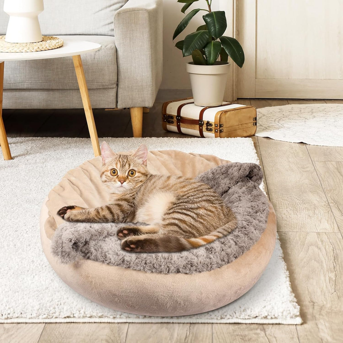 JOEJOY Small Dog Bed Cat Bed with Hooded Blanket - M(26" x 26" x 8") / Beige - image 4