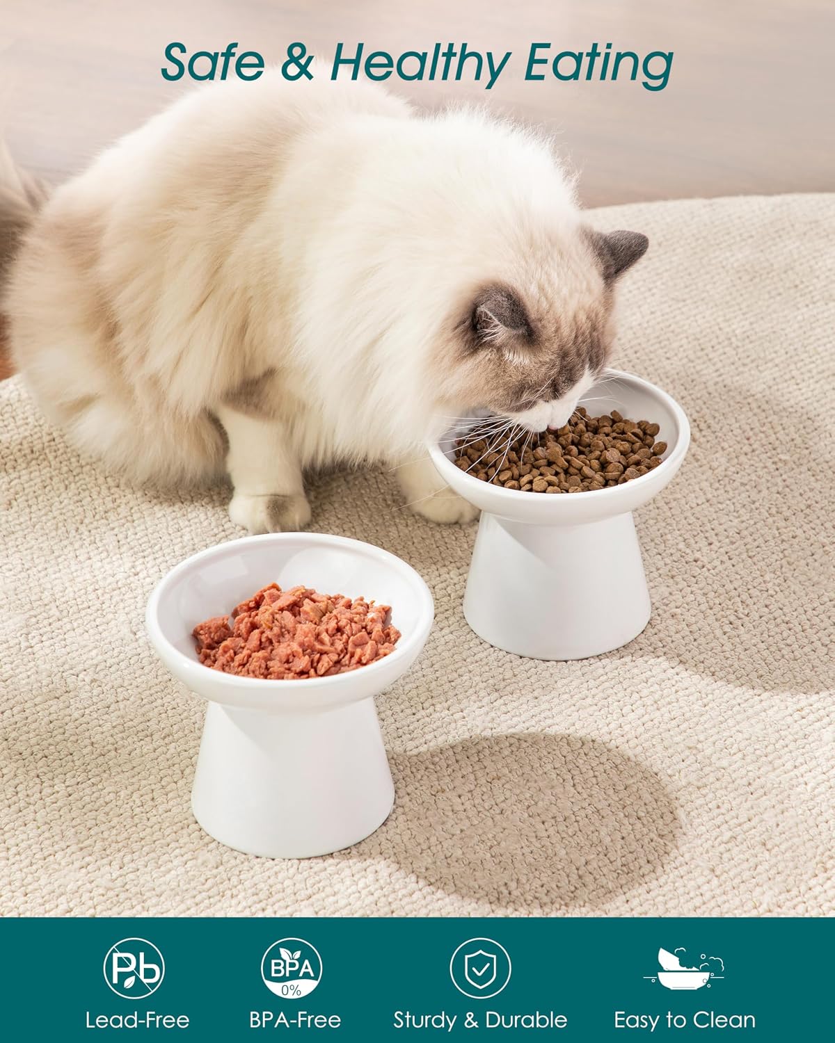 vancasso 2-Pack 6.2" Wide Elevated Cat Bowls - White / Double Food Bowl Set - image 3