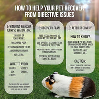 Pet Guinea Pig Emergency Kit with Timothy Recovery Food (Large Emergency Kit)