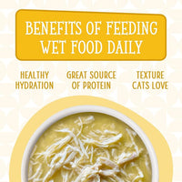 Weruva Cats in The Kitchen, Pumpkin Lickin' Chicken with Chicken Breast in Pumpkin Soup Cat Food, 3oz Pouch (Pack of 12)