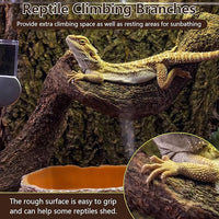 BNOSDM 3Pcs Reptile Climbing Branches Decor,Snake Climbing Branch,Gecko Climb Wood,Lizard Forest Branch,Tank Habitat Tree Trunk Decorations for Bearded Dragons,Chameleons,Spider,Frogs (L)