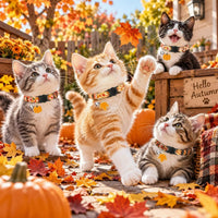 8 Pcs Halloween Cat Collars Breakaway with Bell - Pumpkin - image 2