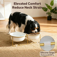 Small Glass Tilted Elevated Cat Dog Bowl Raised Cat Food Water Bowl - Large / White×2-Flat - image 3