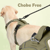 Funfox Dog Harness Medium Sized Dog - Army Green / Medium - image 3