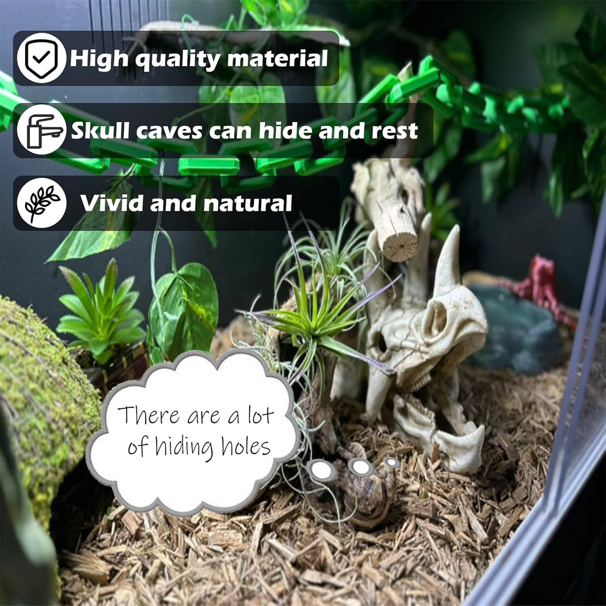 kathson Reptile Resin Dinosaur Skull Decoration Bearded Dragon Tank - Type：Dinosaur - image 3