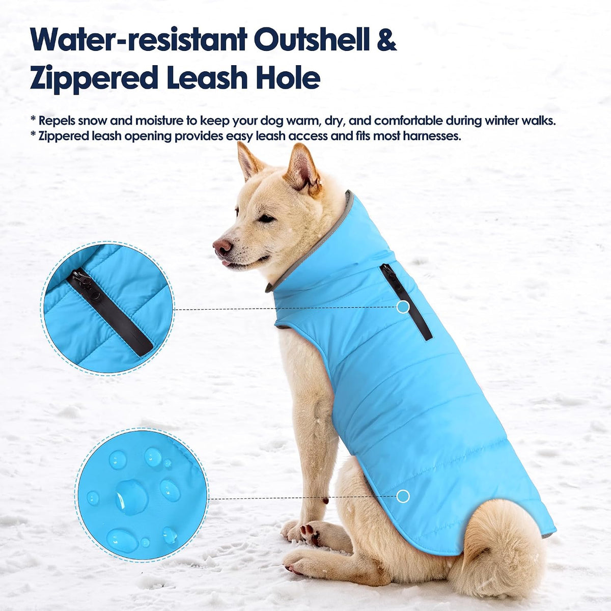 Waterproof Dog Winter Coat - Sky Blue / XS(Chest Girth:8.7-12.6") - image 2