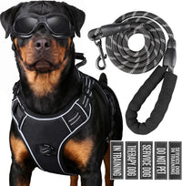 Dog Harness and Leash Set for Large Dogs - Black / L