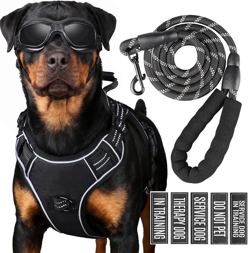 Dog Harness and Leash Set for Large Dogs - Black / L