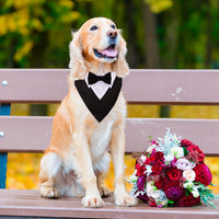 ADOGGYGO Dog Tuxedo Collar, Wedding Dog Bow Tie - Large / Black - image 2