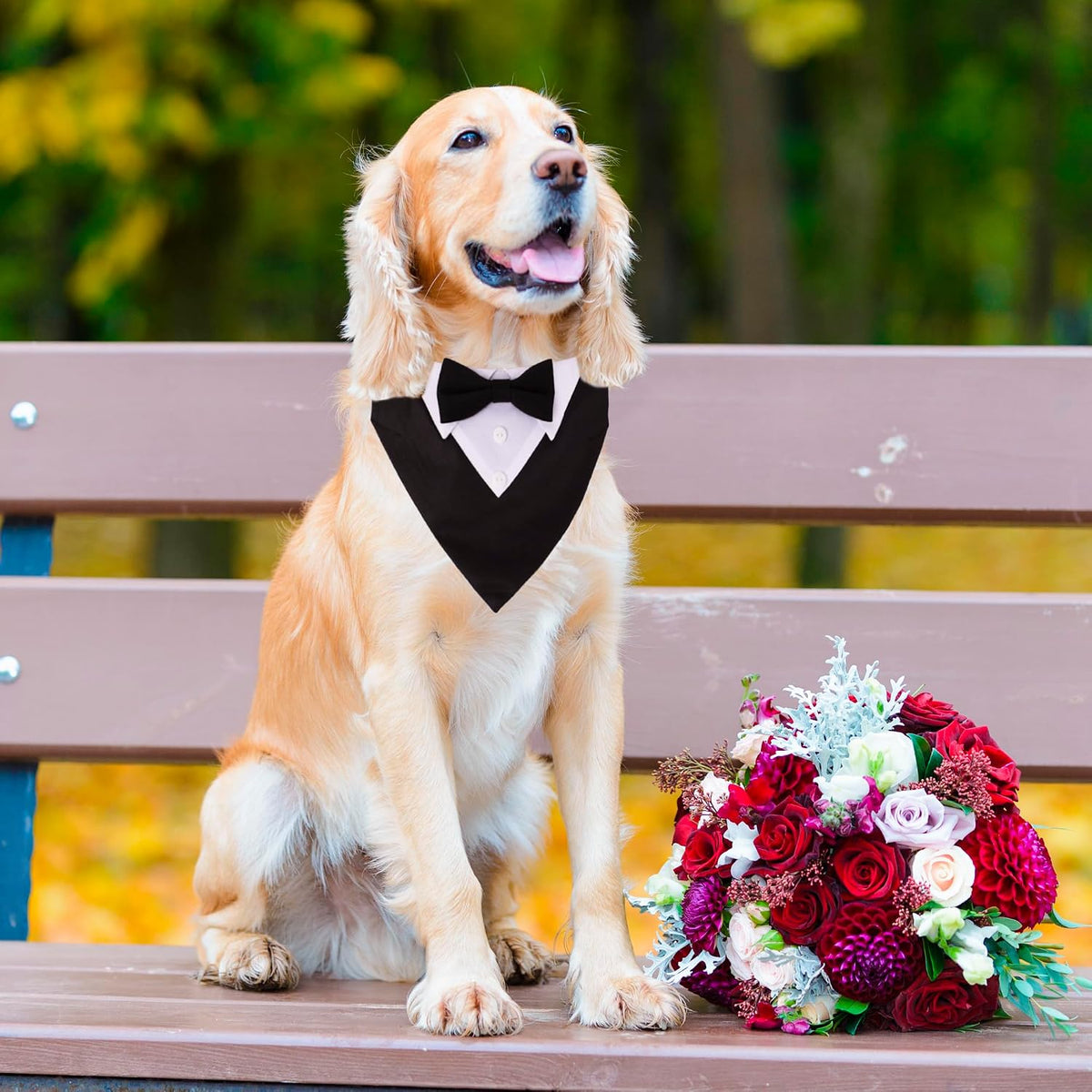 ADOGGYGO Dog Tuxedo Collar, Wedding Dog Bow Tie - Large / Black - image 2