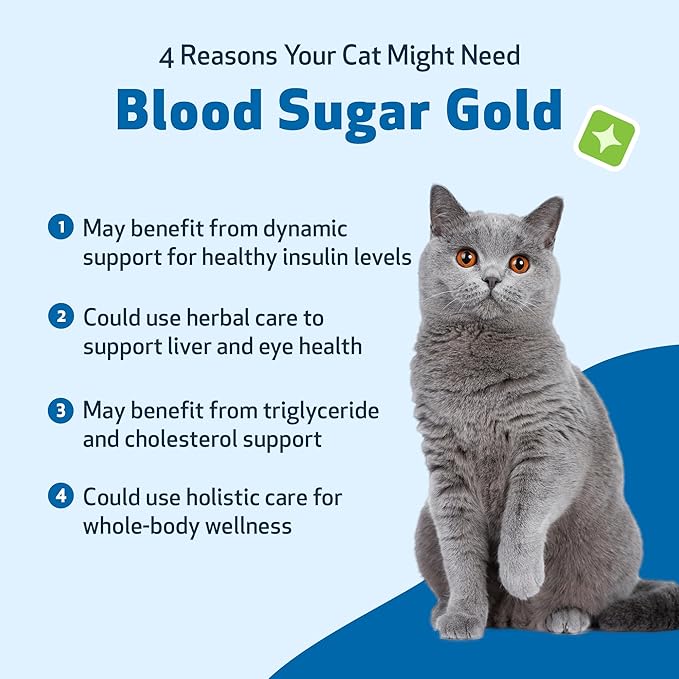 Pet Wellbeing Blood Sugar Gold for Cats - Healthy Blood Sugar Levels, Pancreas & Liver Function, Devil’s Club, Gymnema - Veterinarian-Formulated Herbal Supplement 4 oz (118 ml)