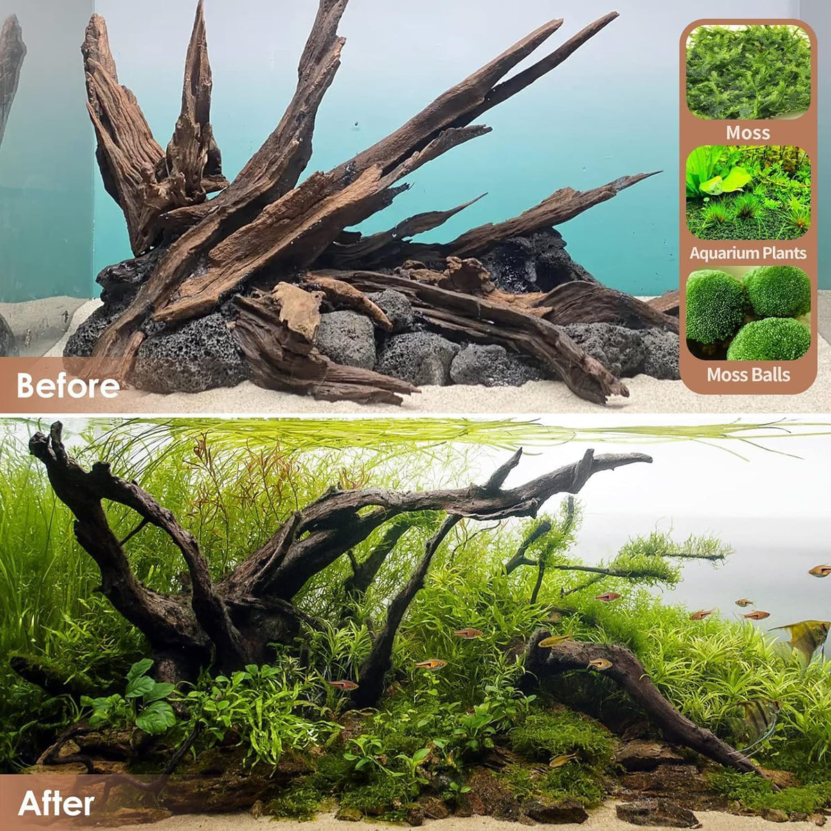 Natural Aquarium Driftwood for Fish Tank Reptile Terrariums Decor – Essentials for Fish - Mopani Driftwood 4 to 8 Inch (Pack of 5) - image 2