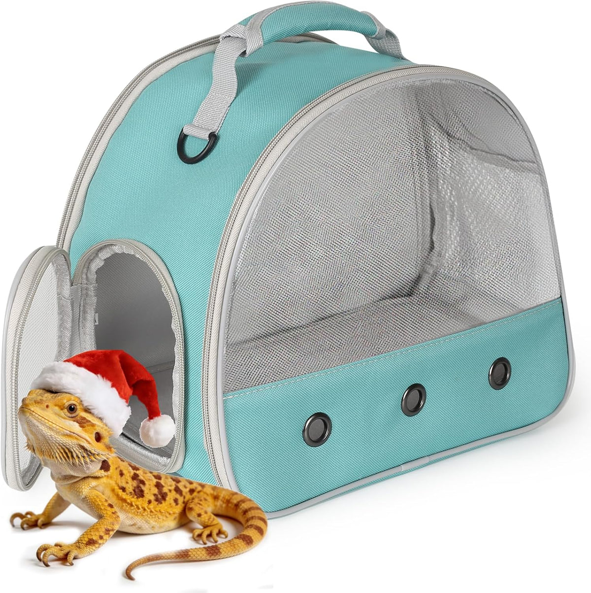 Bearded Dragon Travel Carrier, Lizards Carrier - Green / Mesh Carrier