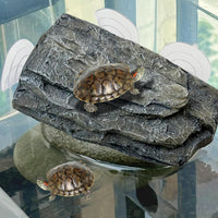 Turtle Basking Platform,Resin Bearded Dragon Basking Platform Reptile Habitat Cave Climbing Ramp - Platform / Gray - image 4