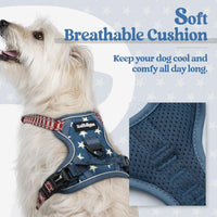 rabbitgoo Dog Harness, No Pull for Large Dogs with 2 Leash Clips - X-Small / Blue Star - image 2