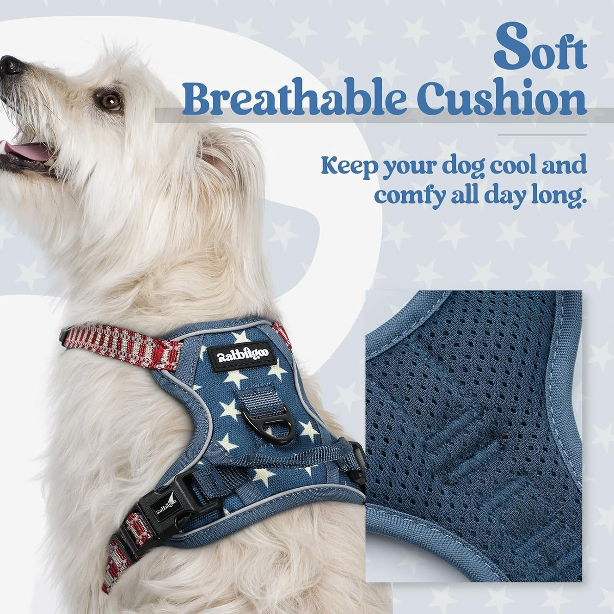 rabbitgoo Dog Harness, No Pull for Large Dogs with 2 Leash Clips - X-Small / Blue Star - image 2