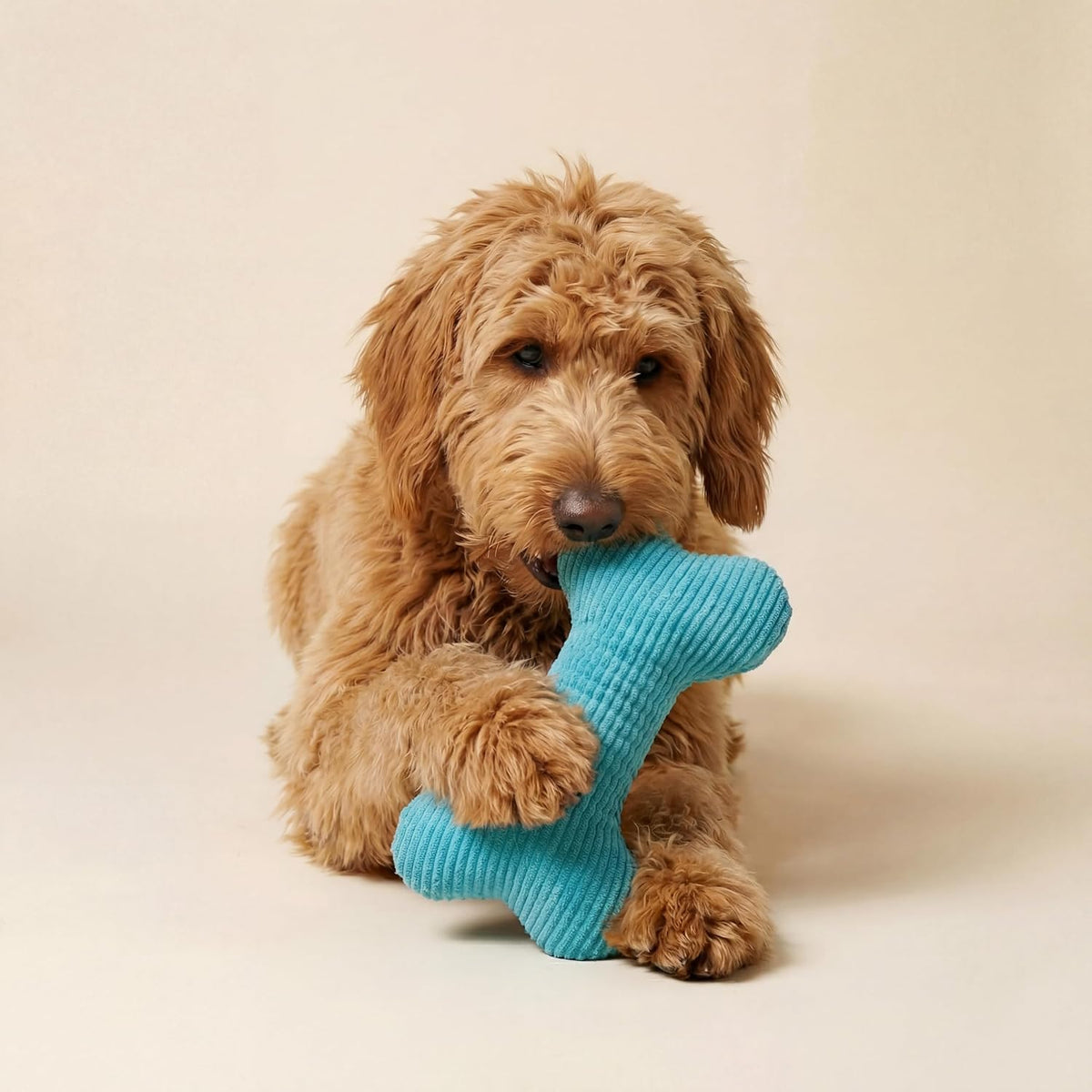 Playology Durable Plush Bone Toy, Squeaky Bone, Jumbo - Jumbo Bone / Peanut Butter - image 3