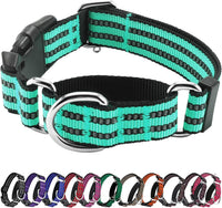 Martingale Collar for Dogs, Reflective Escape Proof, M - Turquoise / Medium