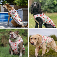 Spark Paws Dog Cooling Vest, Evaporative Summer Cooling - Cherries / X-Large - image 3