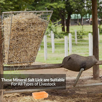 Licking Salt for Horse, 100% Pure Himalayan Pink Salt Chunks, 6 LBS, Animal Feed Salt Chunks, Horse Salt Licks, Natural Mineral Salt - Pack of 2