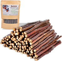 Apple Chew Sticks 100g Mini Molar Toys for Small Pets – Essentials for Small Pets - 9.5 Ounce (Pack of 1)