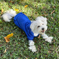 Soft Dog Hoodies for Small Dogs - Dark Blue / X-Small - image 2
