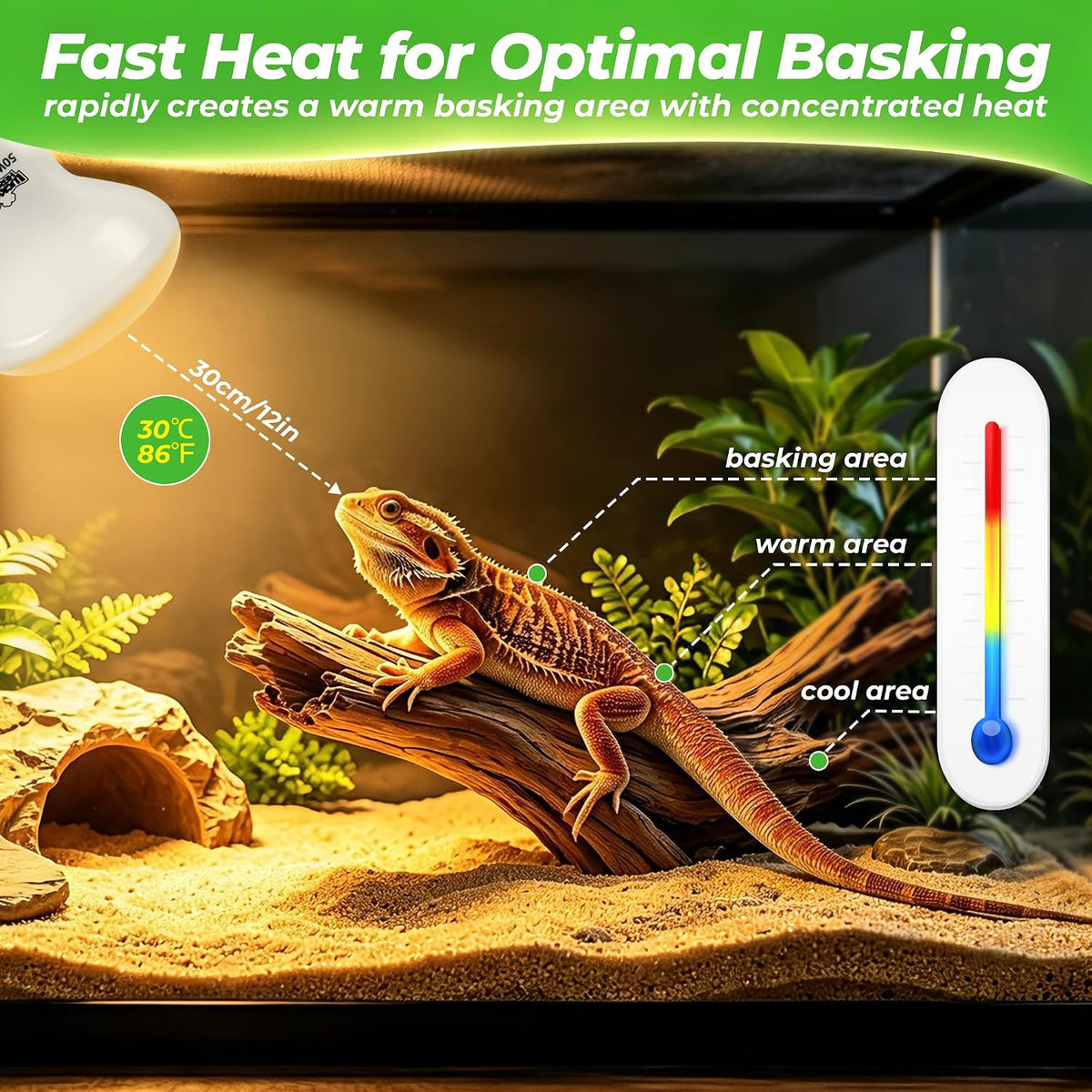 LUCKY HERP Reptile Heat Lamp Bulbs 100W - 50 - image 3