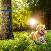 Tresbro 25FT Blue Reflective Tie Out Cable for Dogs Up to 125 Pounds, Steel Wire Lead Leash with Stainless Rotatable Buckle, Lightweight and Enduring, Dog Chains Outside for Outdoor,Yard,Camping